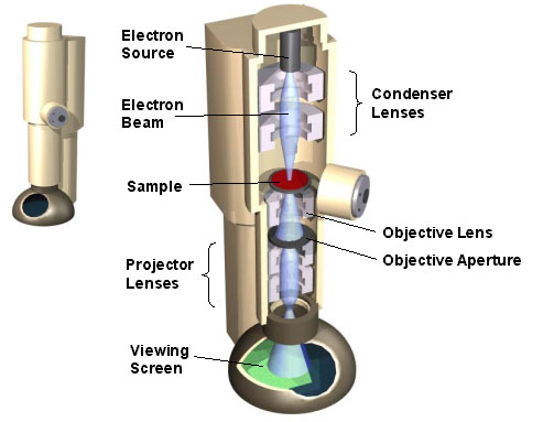 Schematic of a transmission electron microscope