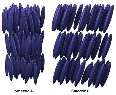 Smectic phase structure