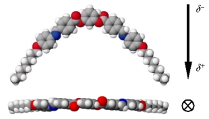Three dimensional structure of banana mesogen